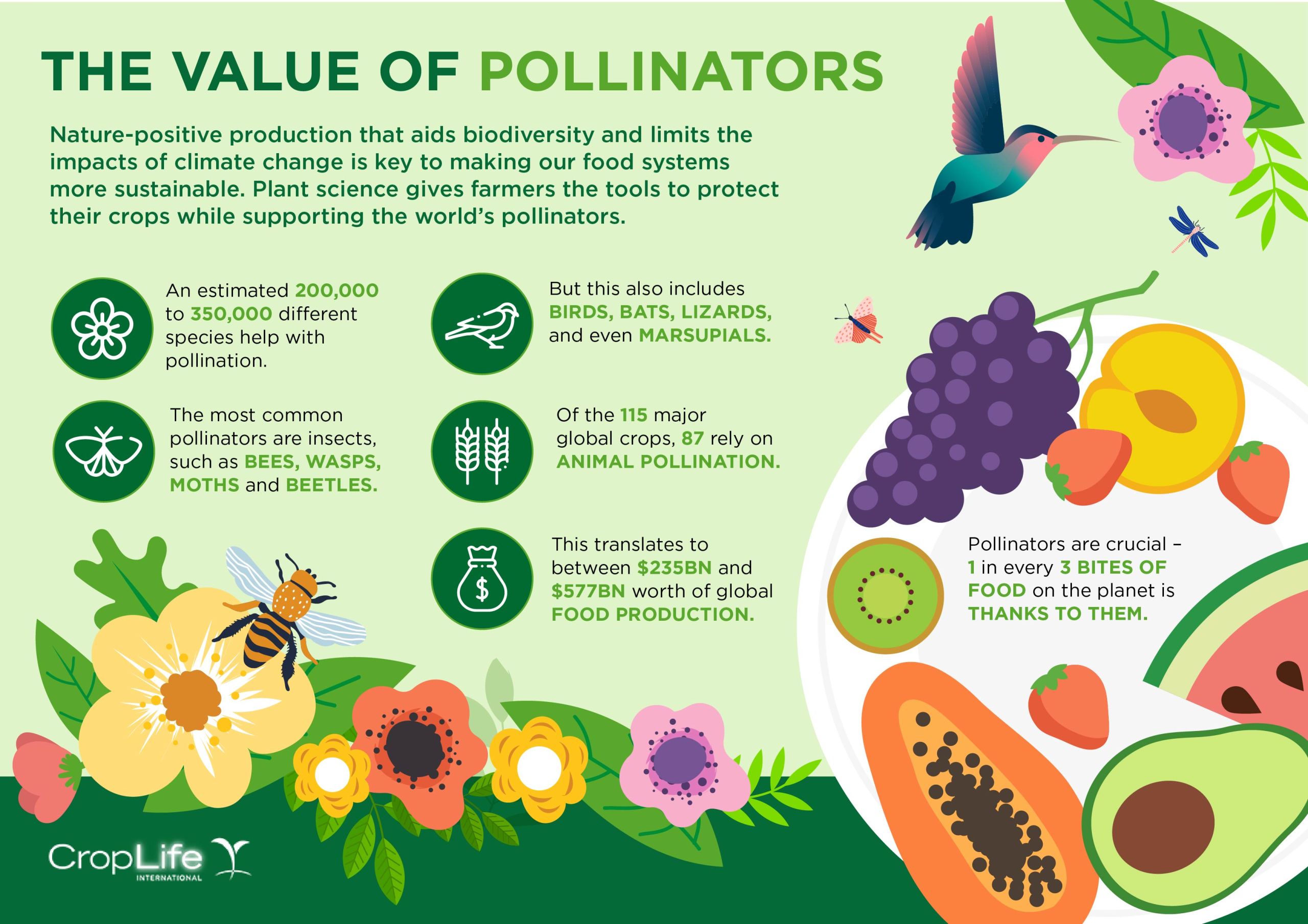 III. The Decline of Pollinators and its Impact on Food Security